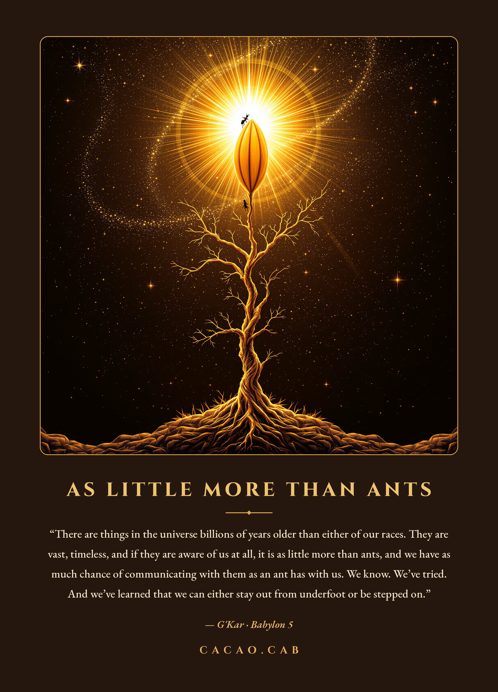 02-cacao-cab-fullquote.png