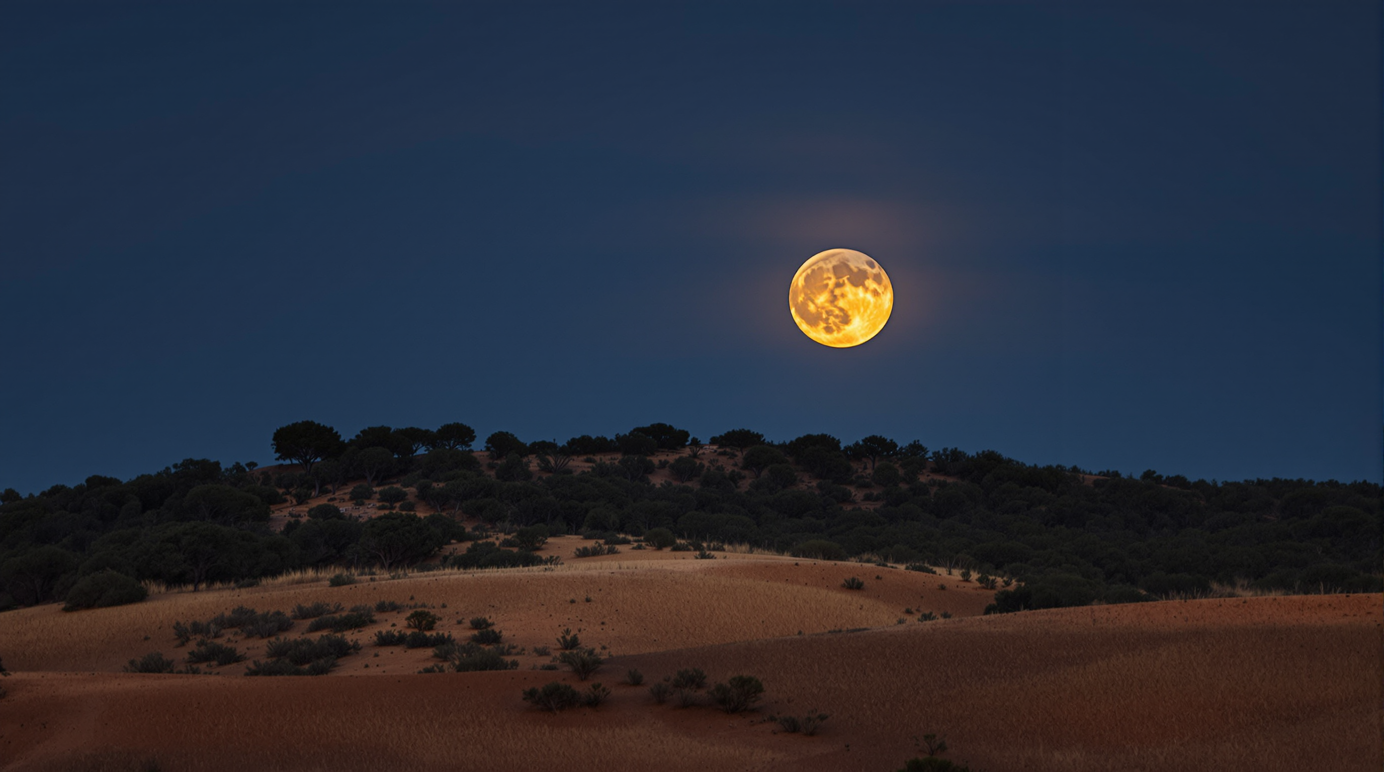 05-full-moon-rising-over-campo.png